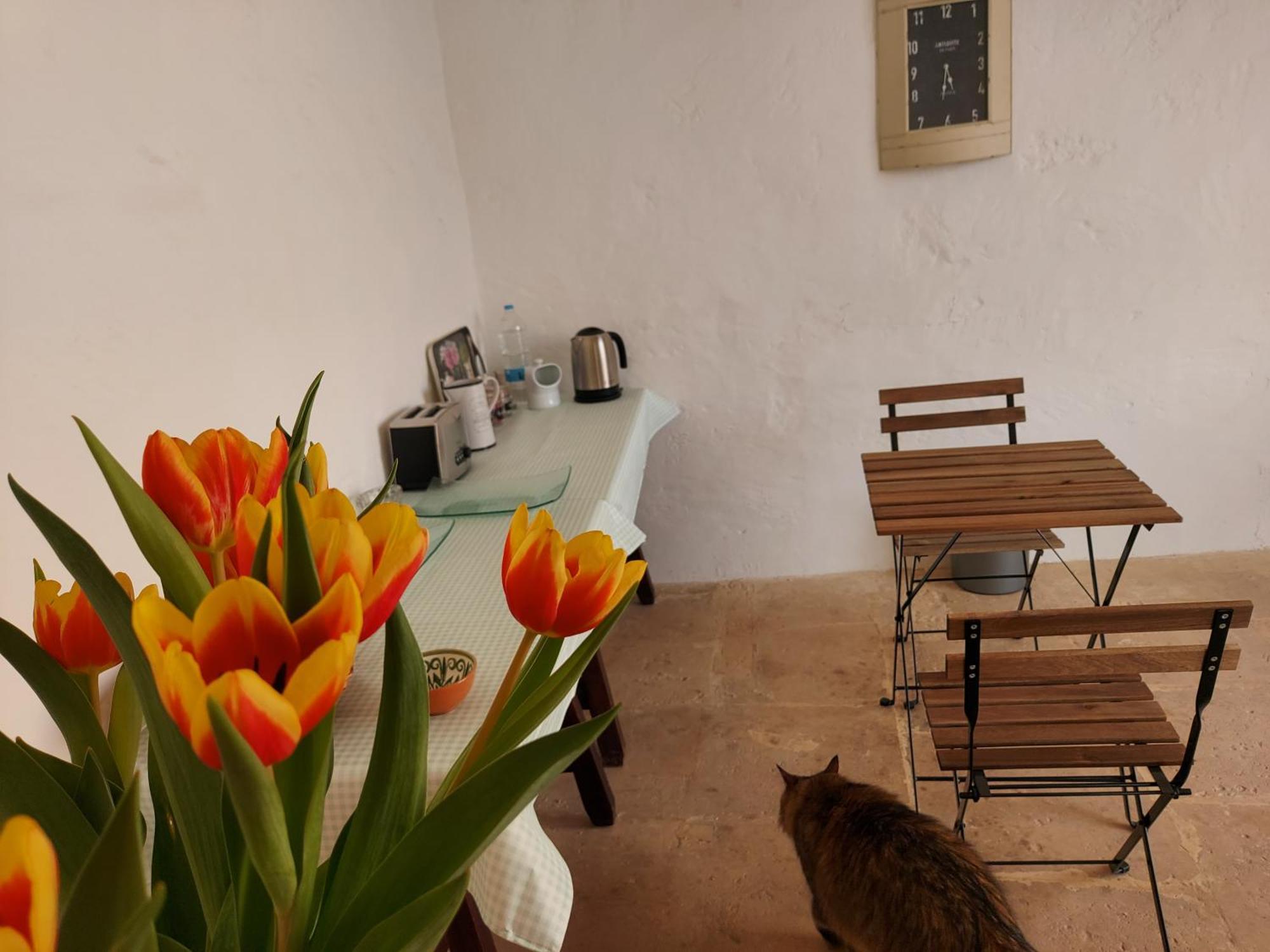 Razzett Warda B&B Għasri Exterior foto